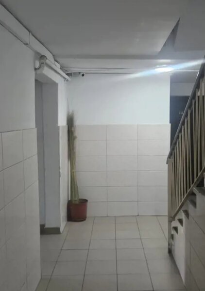 Pantelimon, Delfinului