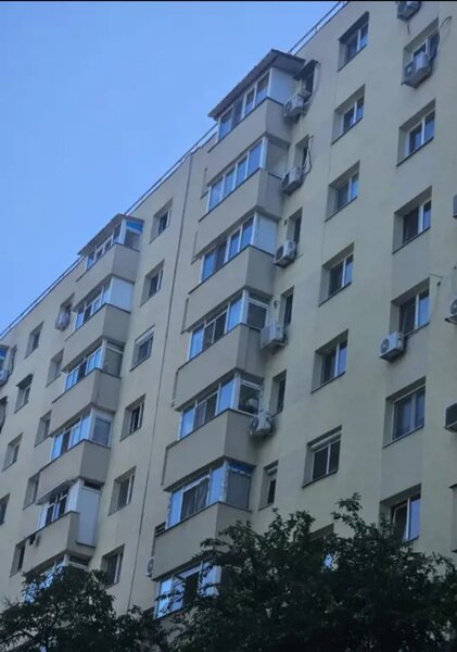Pantelimon, Delfinului