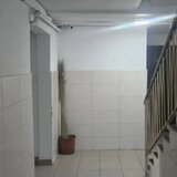 Pantelimon, Delfinului